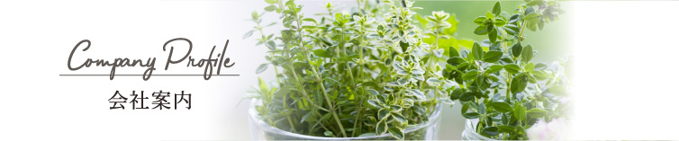 会社案内